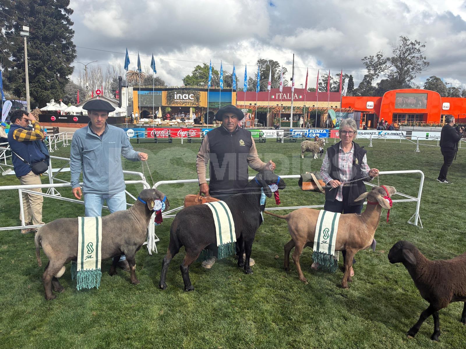 Cabaña King Ranch fue multipremiada en Expo Prado 2026 — imagen 1