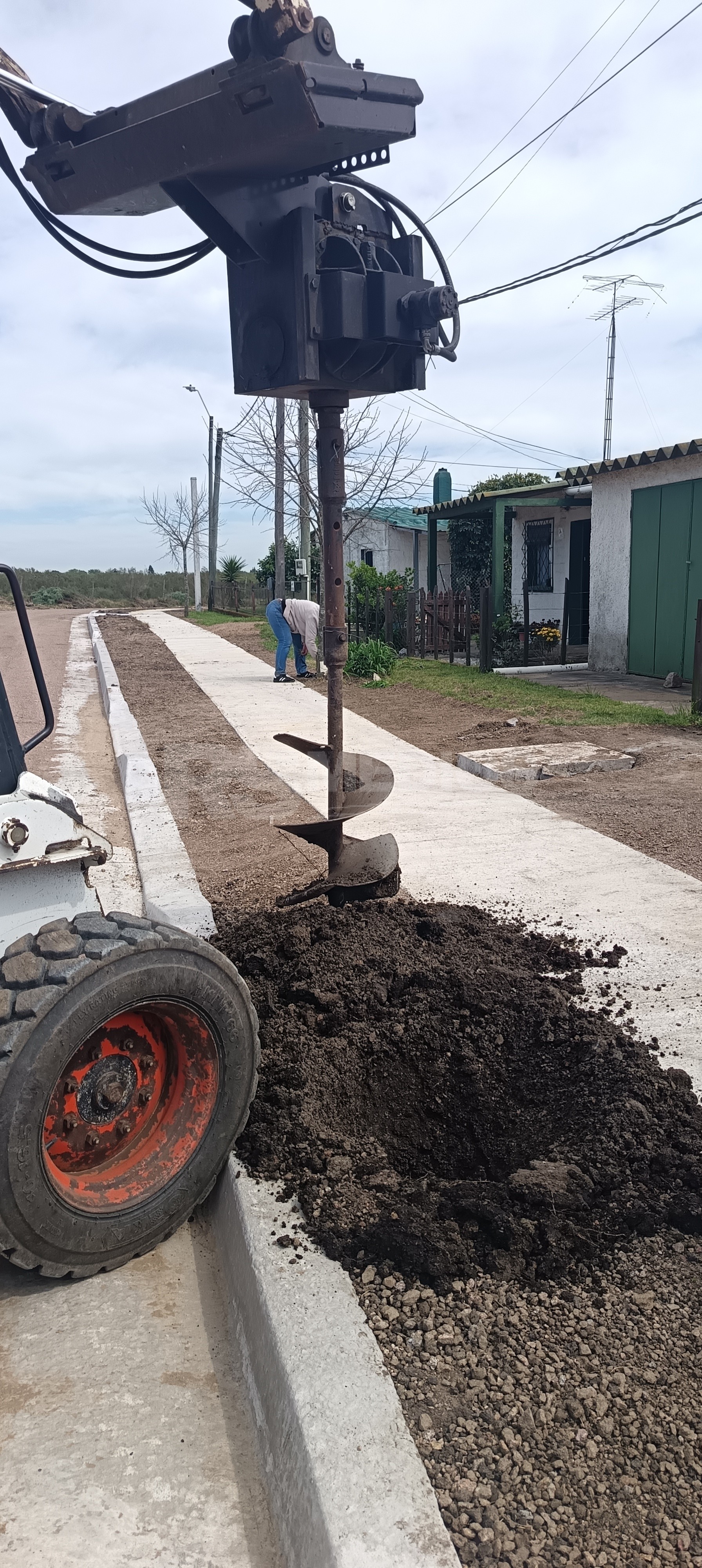 Plantan 119 árboles de la especie Frenos en el barrio Mevir de Cardona