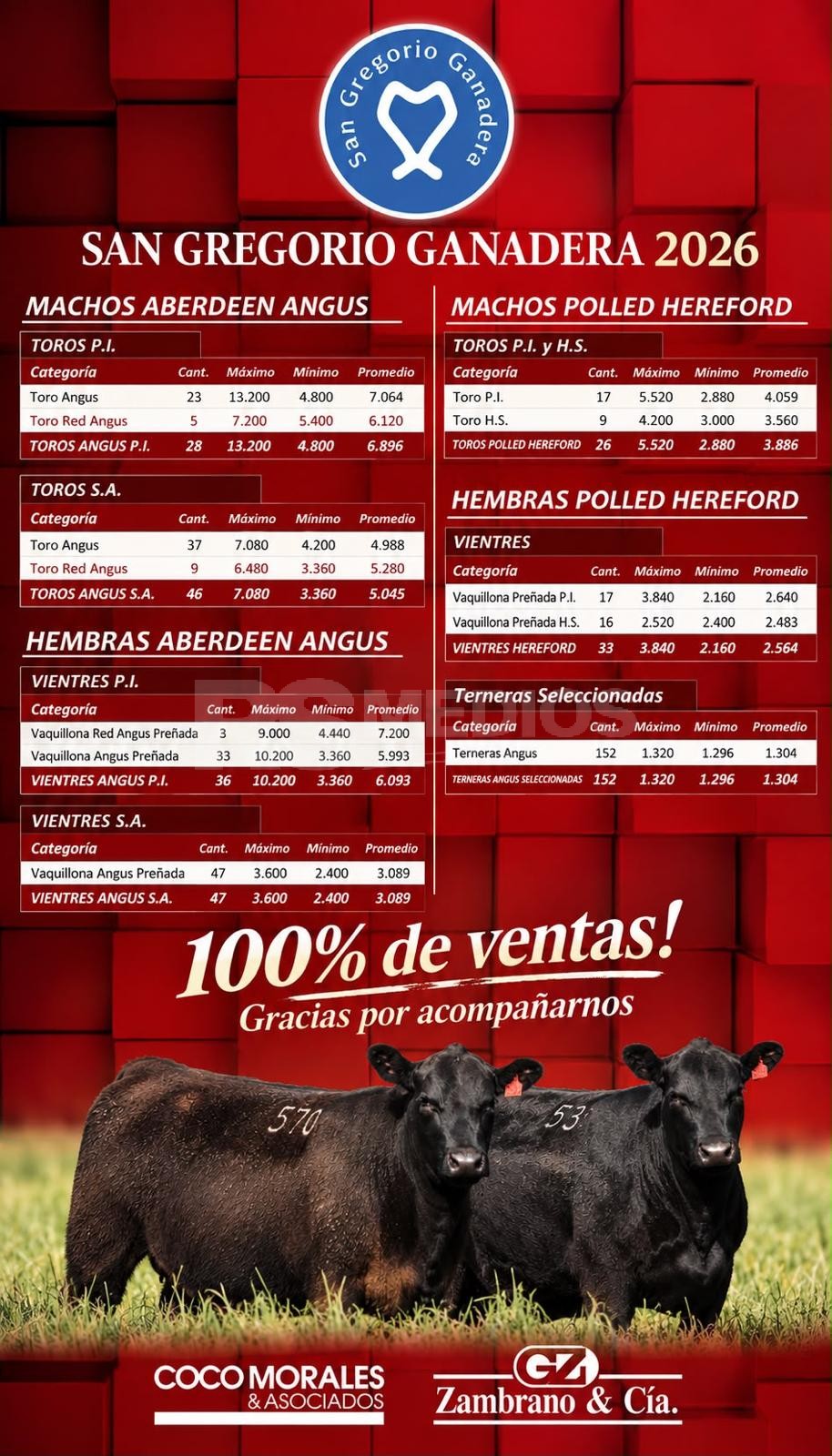 Remate en Cabaña San Gregorio vendió toda la oferta con buenos promedios