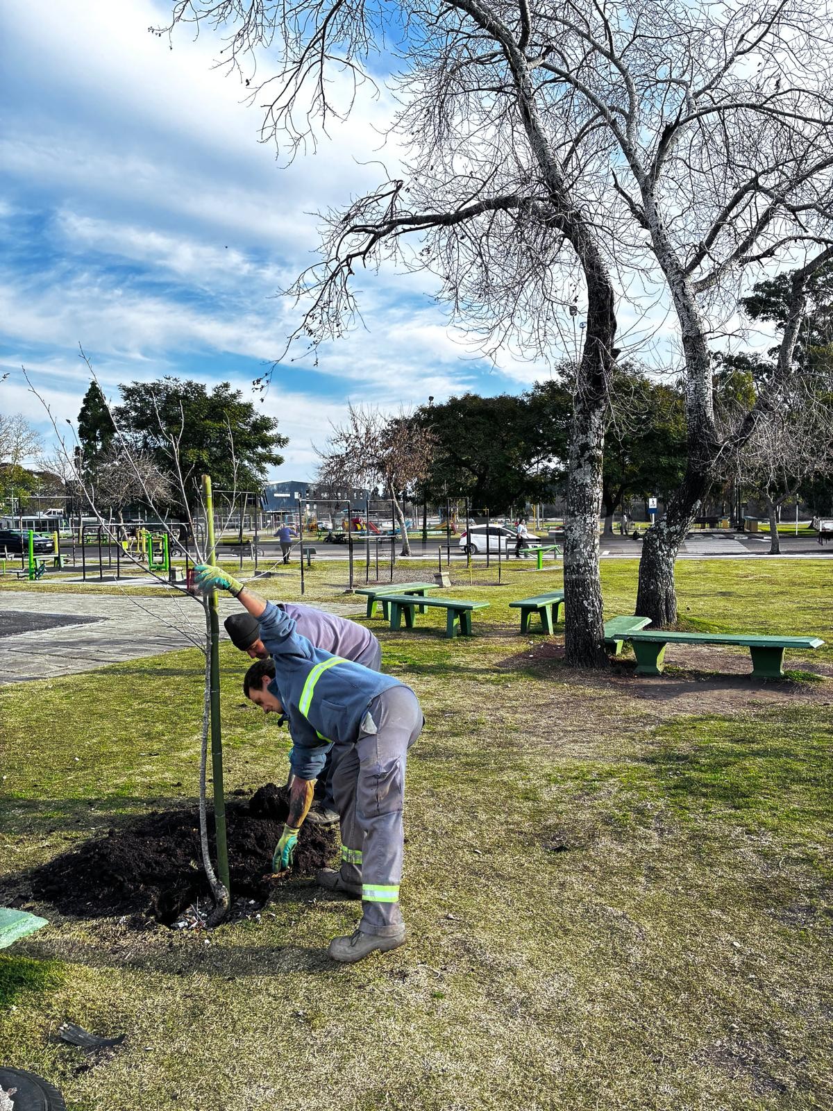 Mercedes plantó 467 árboles en lo que va del año con un plan de reforestación urbana — imagen 2